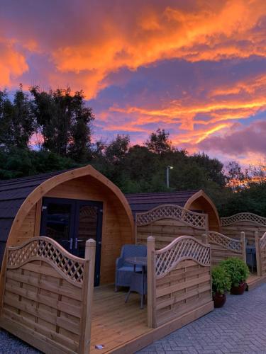 Conifer Cabins