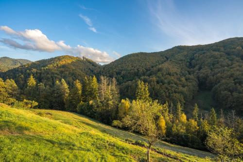 Ubytovanie pod gaštanom
