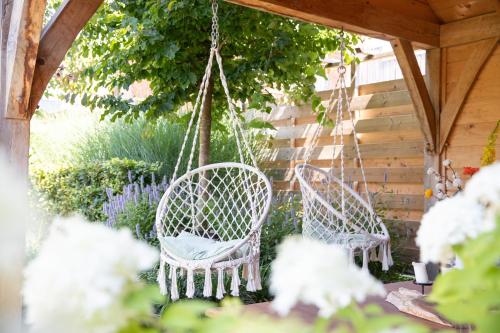 Bed & Breakfast Monument076 Etten-Leur - image 8