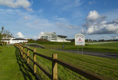 Holiday Inn Express London - Epsom Downs an IHG Hotel - image 9