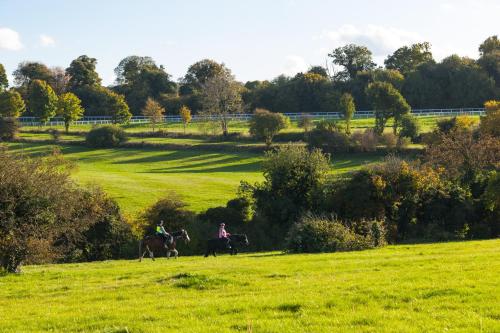 Holiday Inn Express London - Epsom Downs an IHG Hotel - image 12