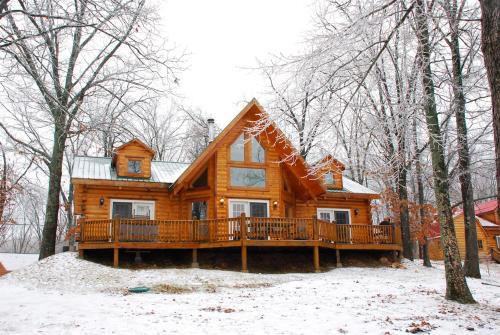 Beautiful Pet Friendly Branson Bear Cabin- private hot tub!