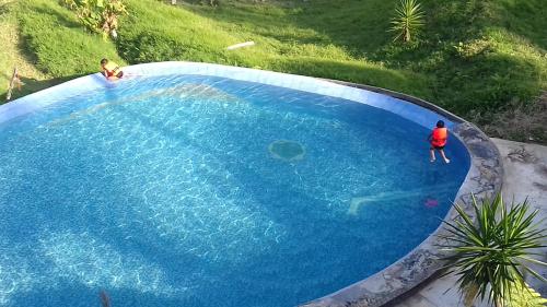 สระว่ายน้ำ, Hotel Villa Aventura in พอซซา ริก้า