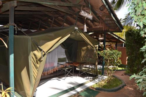 Impala Safari Lodge in Voi