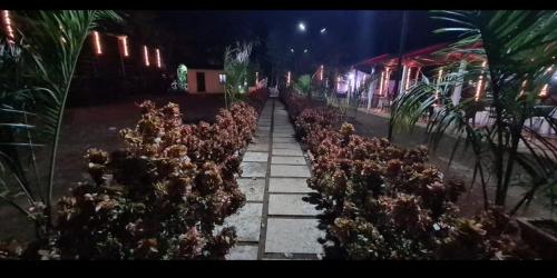 Magic Kingdom Resort In Kudan India Reviews Prices Planet Of Hotels