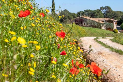  CAL PARENT – Casa “Vella” con piscina semi-climatizada y spa in Vilademuls