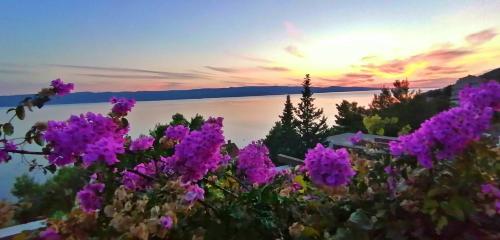 Apartments Đogo - Pisak