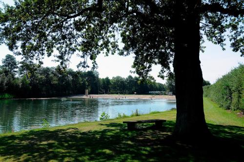 Papillon Country Resort - image 13