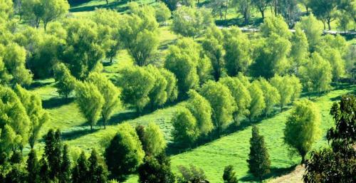 Exterior view, Hotel Termales El Batan in Cuitiva