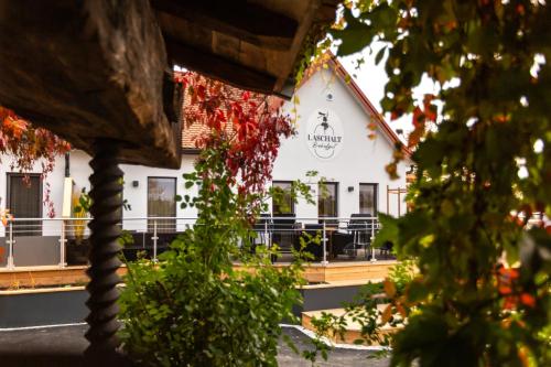 Vista exterior, Biohofgut LASCHALT in Loipersdorf