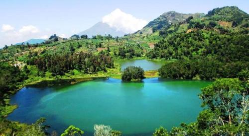 Homestay Sikunir Dieng
