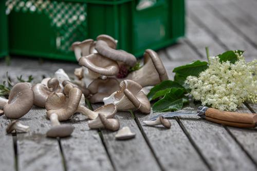 Adelwöhrer - Am Hof Adelwöhrer - Am Hof