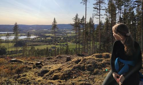 Surrounding environment, Ekesberget Stugby stuga 3 in Framnäs