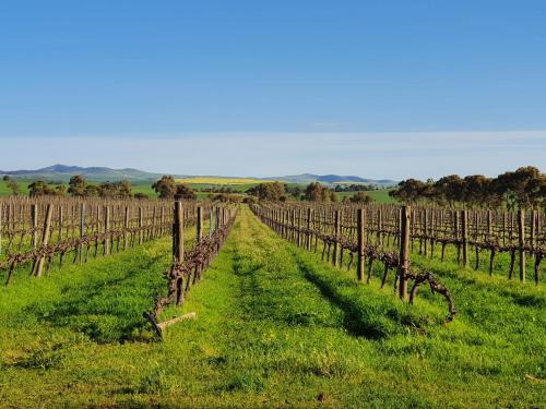 Belalie Wines in Jamestown