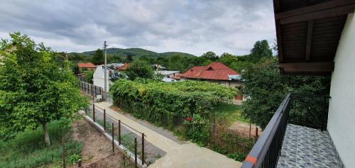 Green Nest - image 6