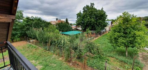 Green Nest - main image