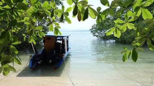 Two Fish Resort Bunaken