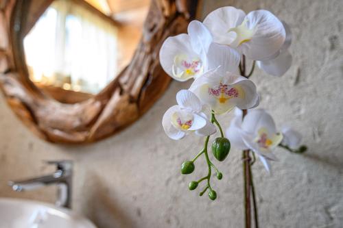Alpina Luxury Chalets - image 14