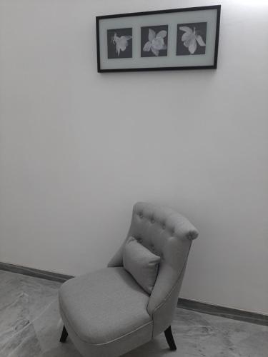 le ginestre in centro, Salerno (foto 4)
