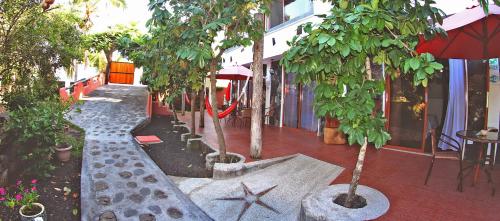 Lava House Hostal, Puerto Ayora (foto 9)