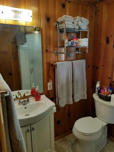 Knotty Pine Cottage - image 7