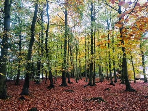 Sky gîte à louer Wingates