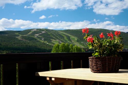 Geilolia Ferieleiligheter - image 6