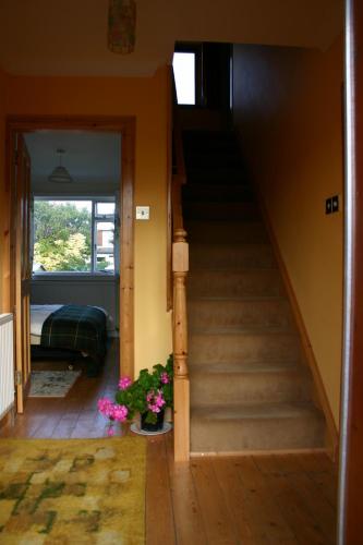 Garden Cottage in 普雷斯特威克