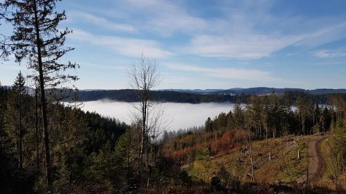 Ferienwohnung am Schneeberg