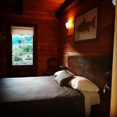 Trout Lodge - Collagna