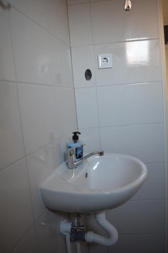 PINGO 2 - image 12