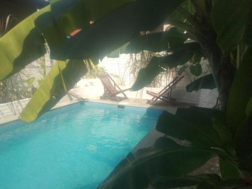 Swimming pool, Manoha Villa in Serendipity Beach
