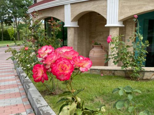 Villa Sintica - image 7