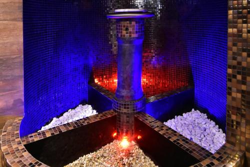 Wellness Hotel Astra - image 11
