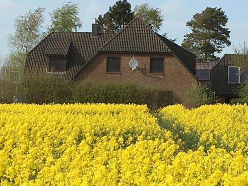 Zwischen den Feldern in Brebel, Deutschland