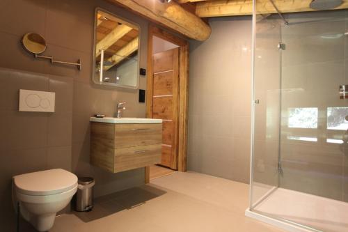 Nouveau ! CHALET MOUNTAIN VIBES - image 8