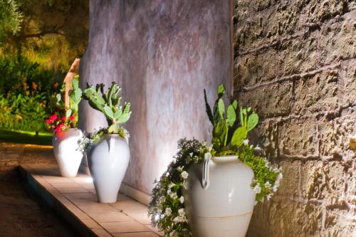 Antica Masseria Rottacapozza - main image