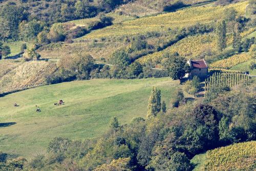 Les Billardes - le gite - Jura gîte à louer Chevreaux