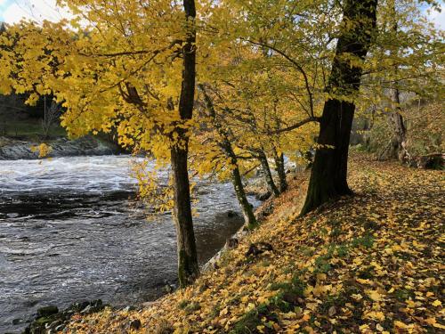 Boen Gård - image 14