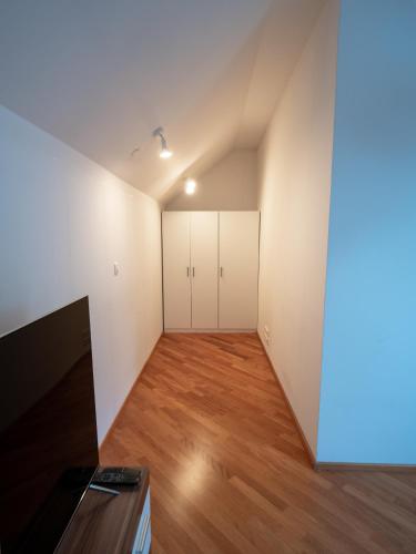 Strict city apartments, Liubliana (foto 11)