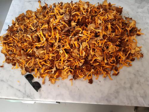 Locanda Rondolost Locanda Rondolost