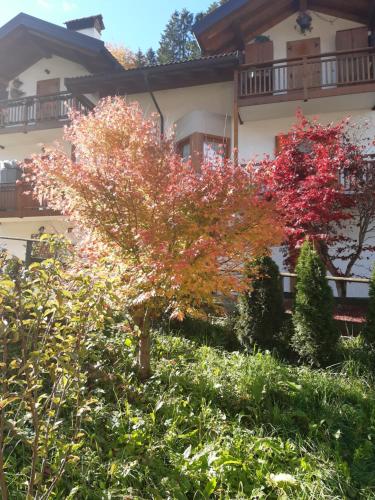 Locanda Rondolost Locanda Rondolost