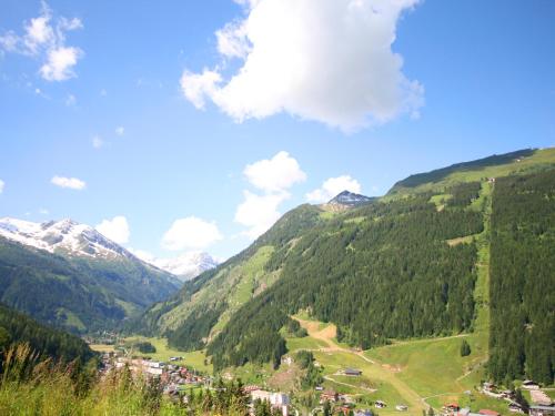 Almliesl GAST-481 - image 7