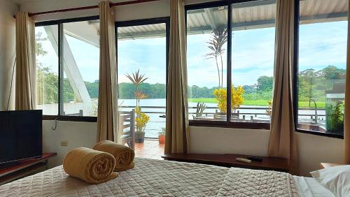 Tortuguero Adventures GuestHouse in Tortuguero