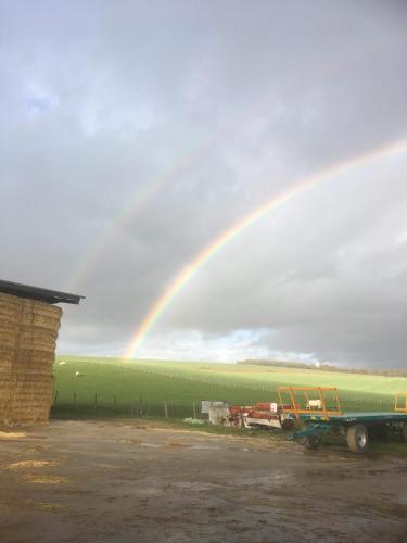 détente au cœur de la ferme