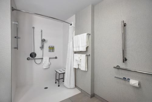 Suite - Mobility Access Roll in Shower/Non-Smoking