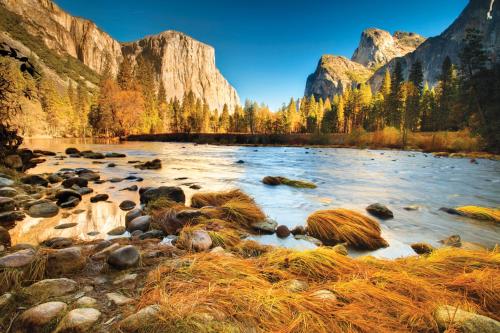 Yosemite Valley Lodge