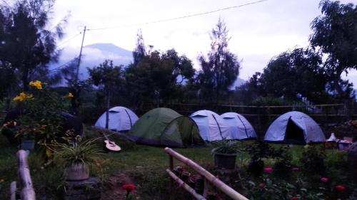Bale Oma Camp & Cottage
