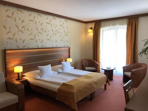 Guestroom, Aranybanya Hotel in Abaújvár