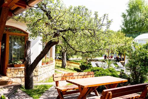 Aranybanya Panzio es Apartmanhaz in Abaújvár